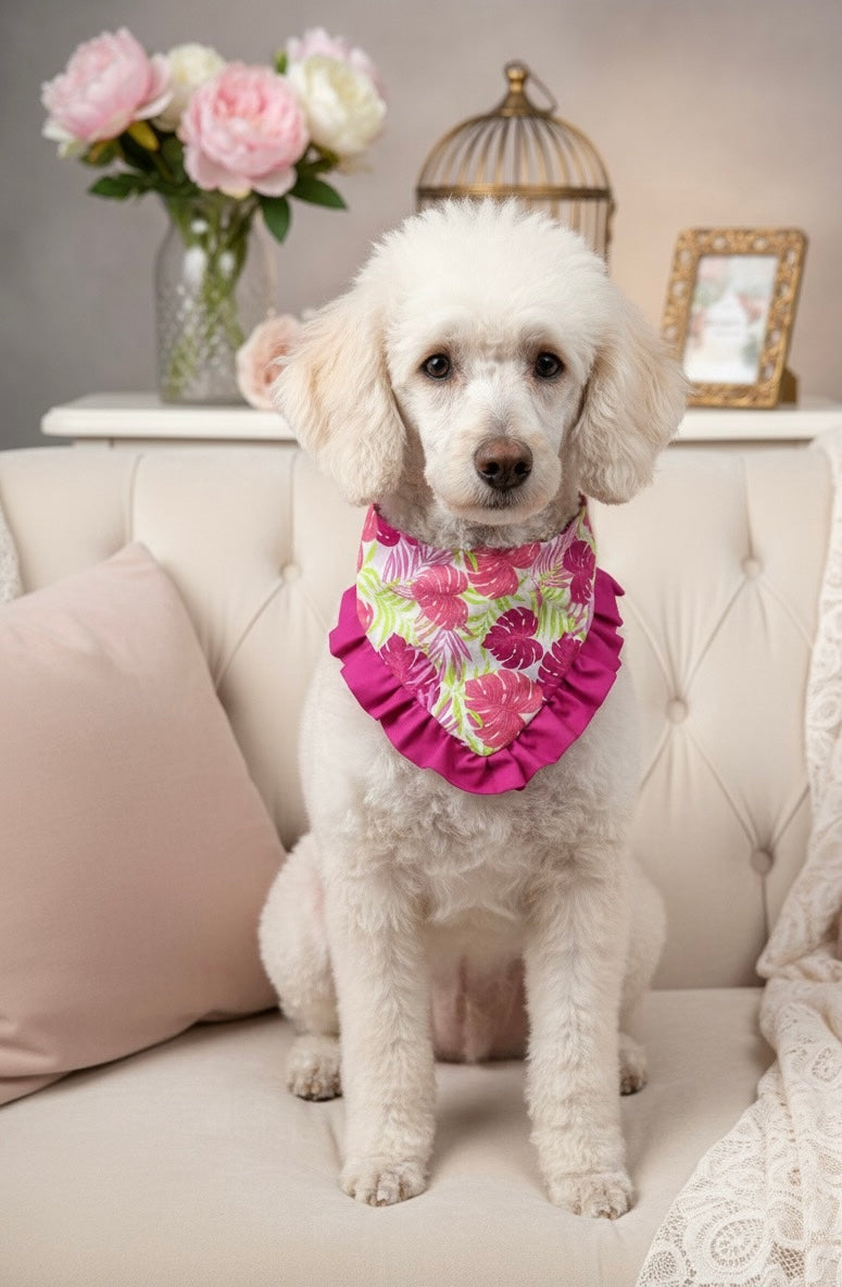 Miss Ruffle- limited edition