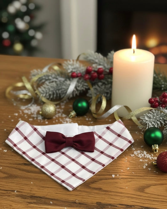 On point- Christmas limited edition