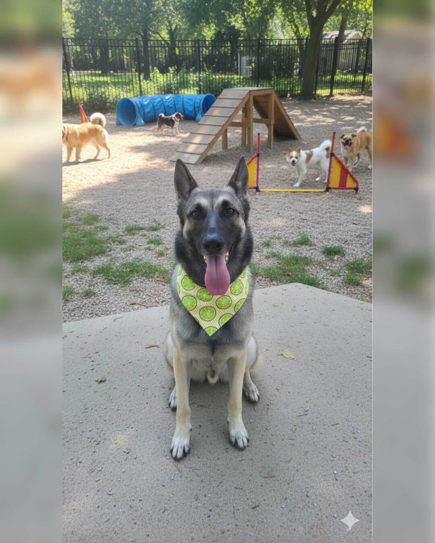 Lemon Bandana-Limited Edition